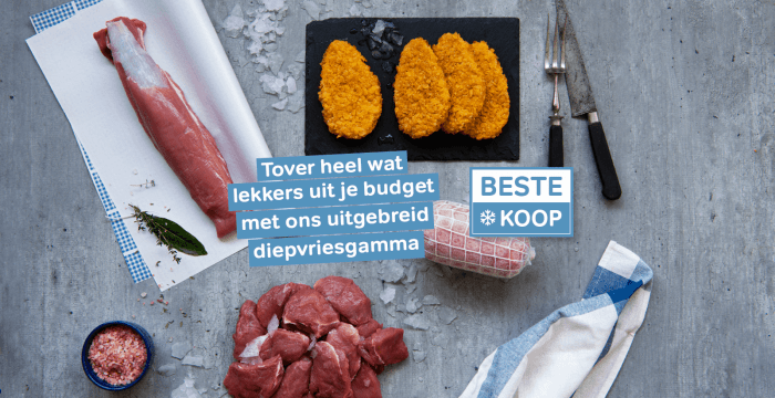 Beste Koop Diepvries