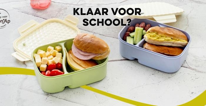backtoschool-brooddoos