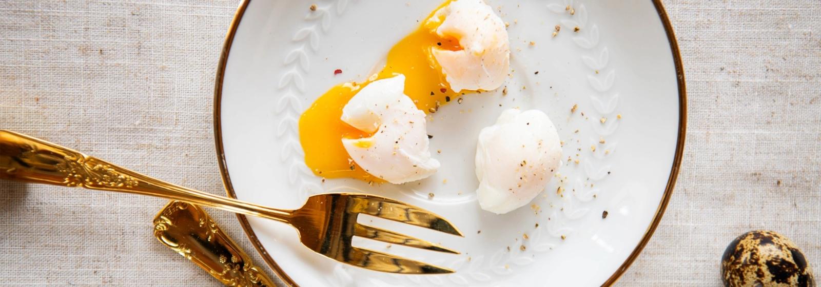 bonap-pocheren-kan-je-leren