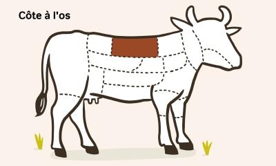 Côte à l'os 