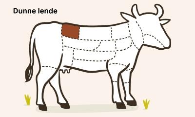 Dunne lende