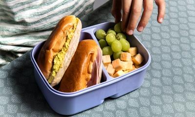 Back To School brooddoos