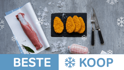 diepvries - beste koop