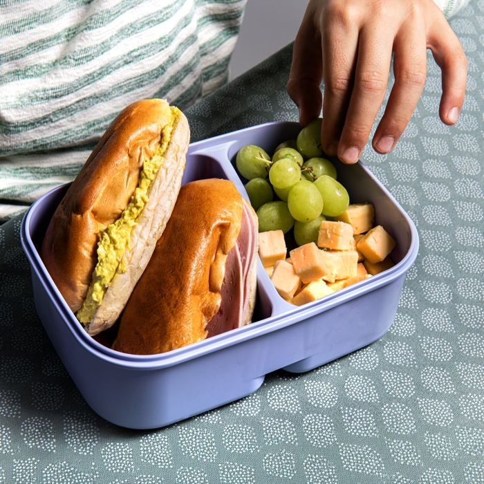 Back To School brooddoos