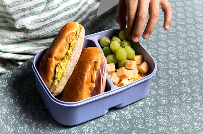 Back To School brooddoos